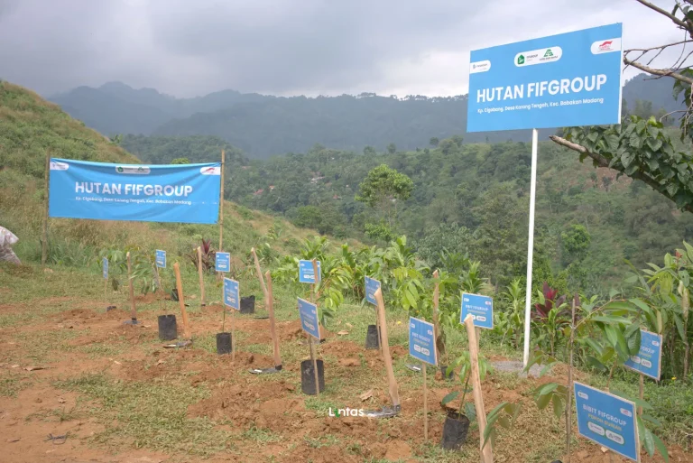 FIFGROUP - HIKE AND HEAL (8)