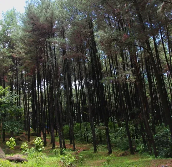 Gunung Pancar Sentul