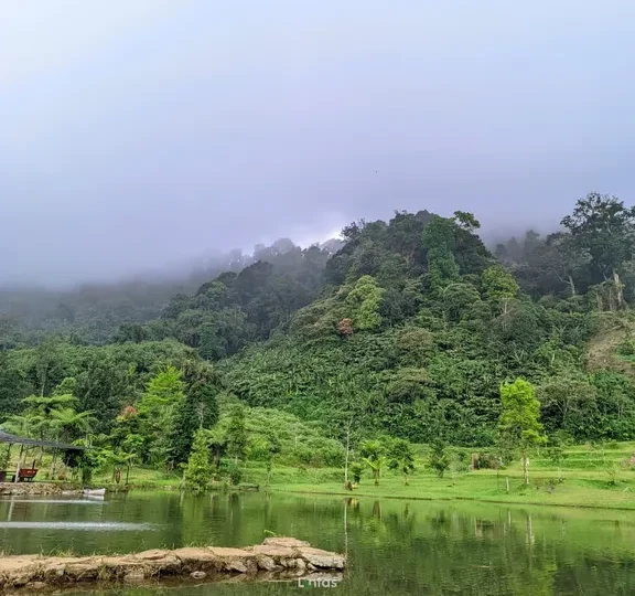 Biaya Trekking Cisadon Sentul - Lintas - Trekking Dusun Cisadon Sentul (10)