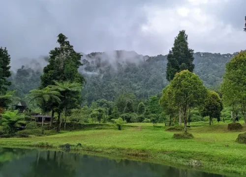 Rute Trekking Cisadon Sentul: Menembus Hutan Menuju Desa di Atas Awan
