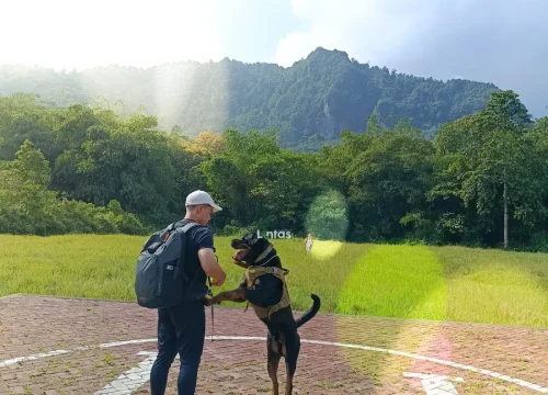 5 Rute Trekking Sentul Pemandangan Gunung: Rahasia Healing Terbaik 2026