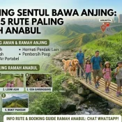 Trekking Sentul Bawa Anjing Tips & 5 Rute Paling Ramah Anabul