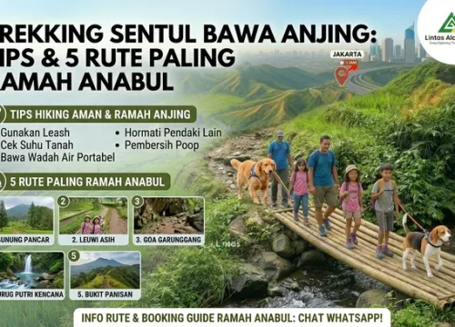 Trekking Sentul Bawa Anjing: Tips & 5 Rute Paling Ramah Anabul